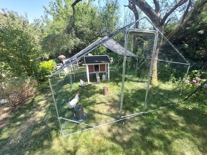 Photo de Jean-Paul M.