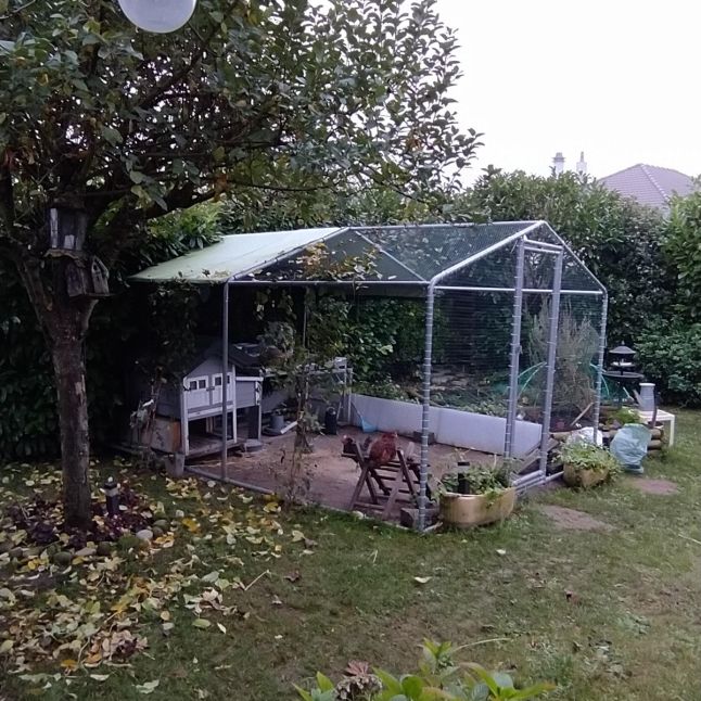 Parc à Poules - Enclos 12m² Ø38mm 4x3x2,25m - Acier Galvanisé