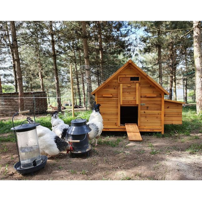 Grand poulailler Bassette XXL 15 à 18 poules toit vert