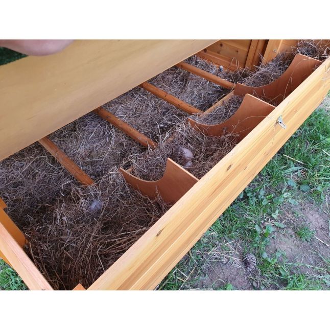 Grand poulailler Bassette XXL 15 à 18 poules toit vert