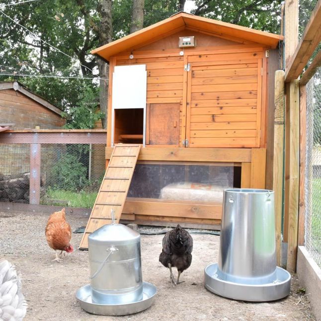 Poulailler Vorwerk toit shingle 10 à 12 poules