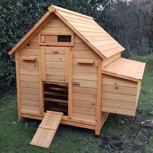 Poulailler Cémani XL toit bois 6 à 10 poules