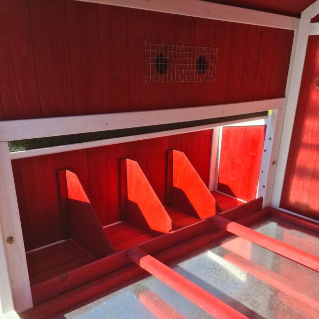 Poulailler Deluxe rouge toit shingle vert 10 à 12 poules V3.0