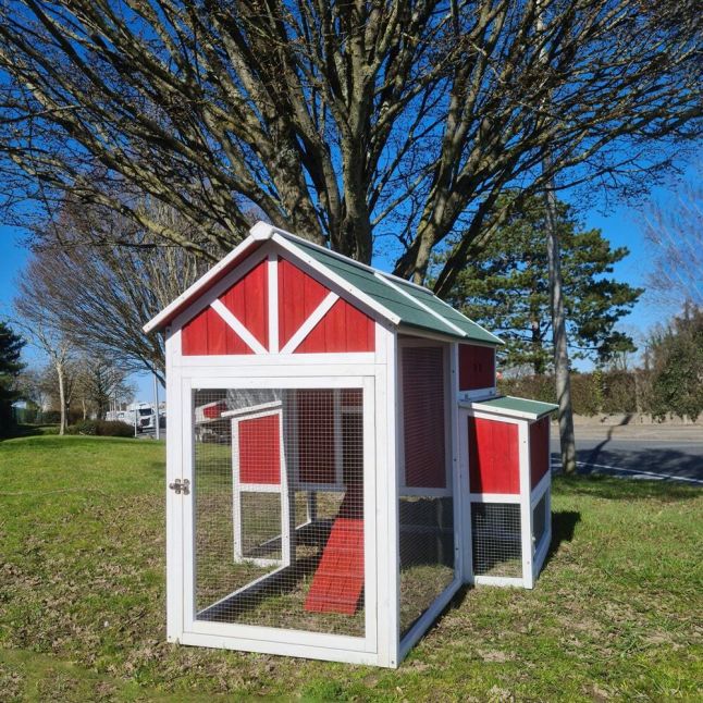 Poulailler Deluxe rouge toit shingle vert 10 à 12 poules V3.0