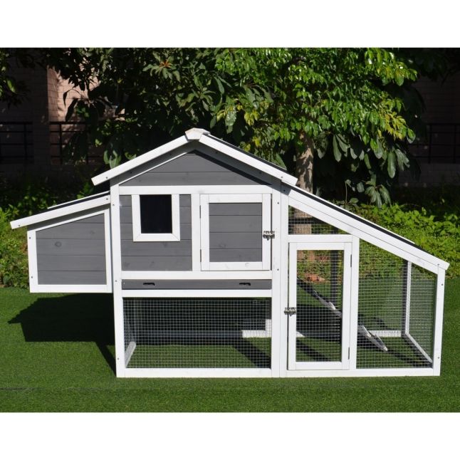 Poulailler Toit Plastique 2 à 4 poules toit plastique ondulé