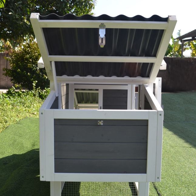 Poulailler Toit Plastique 2 à 4 poules toit plastique ondulé